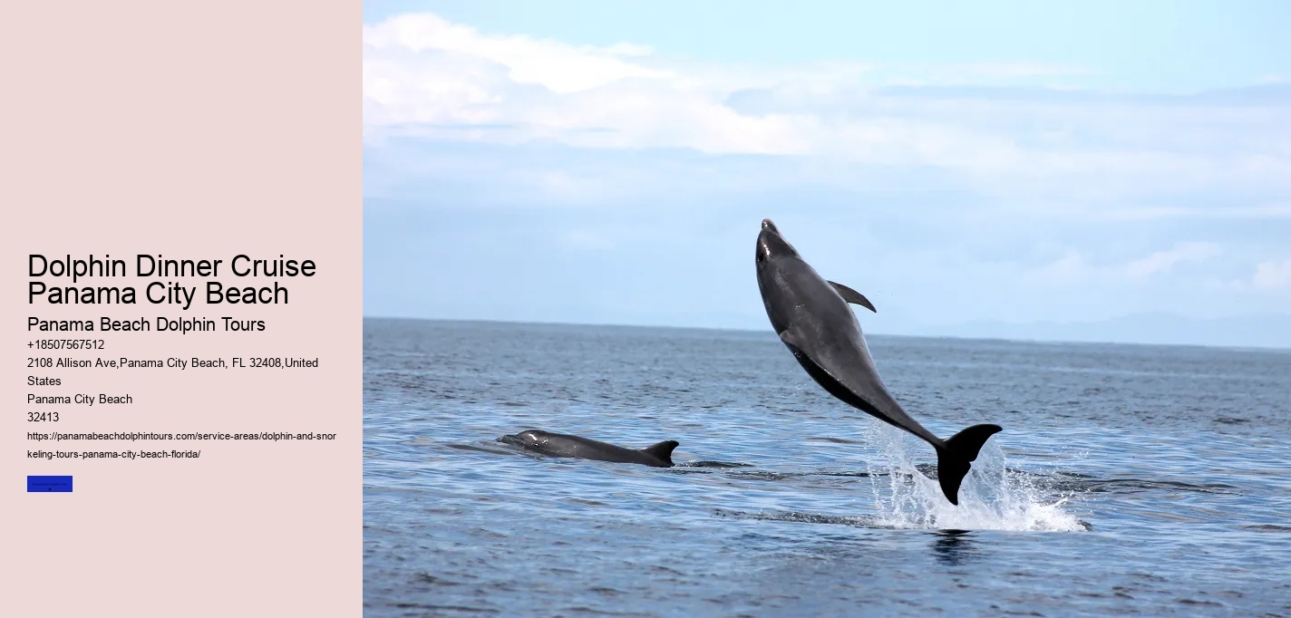 How Do You Spot Dolphins On The Beach
