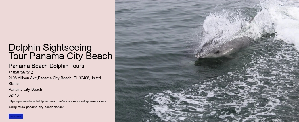 Is It Safe To Swim With Dolphins At A Resort