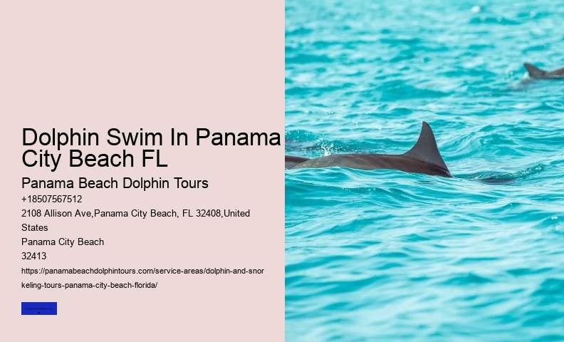Which Beach Has The Most Dolphins