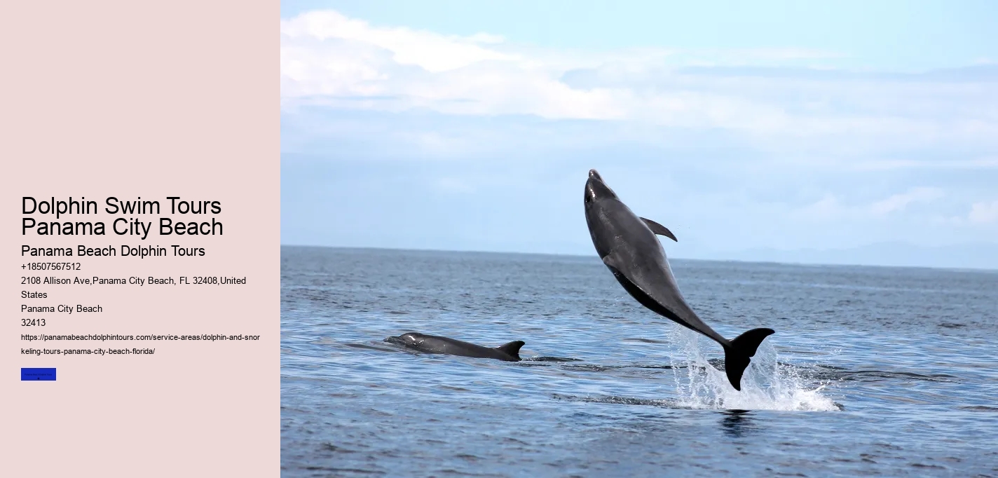 Why Not To Swim With Dolphins