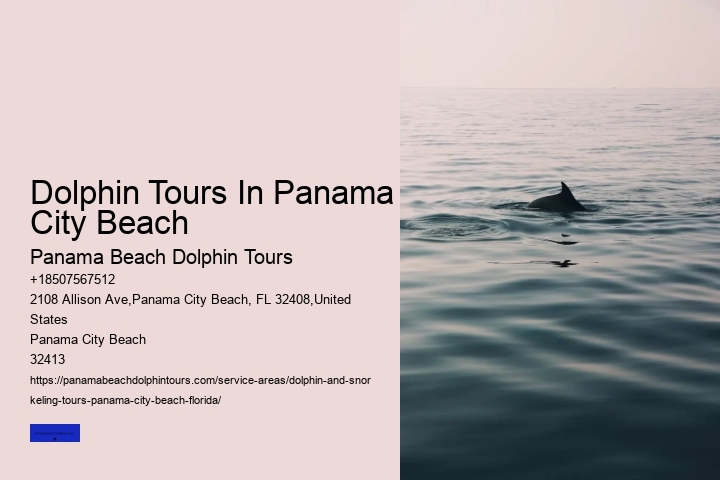 Dolphin Watching And More In Panama City Beach