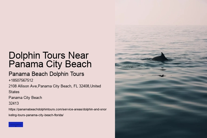 Dolphin Cruise
