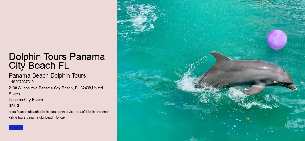Panama City Beach Dolphin Cruise