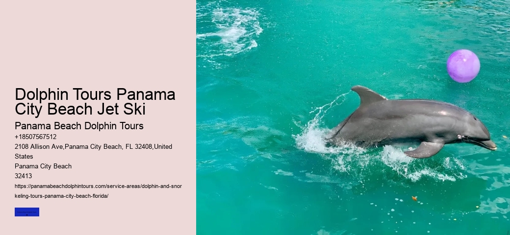 Glass Bottom Boat Tours Panama City Beach