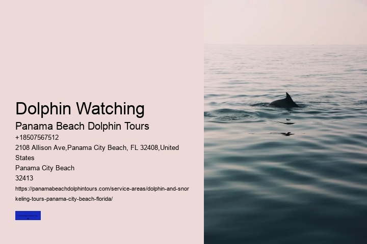 Dolphin & Whale Watching In Panama City Beach