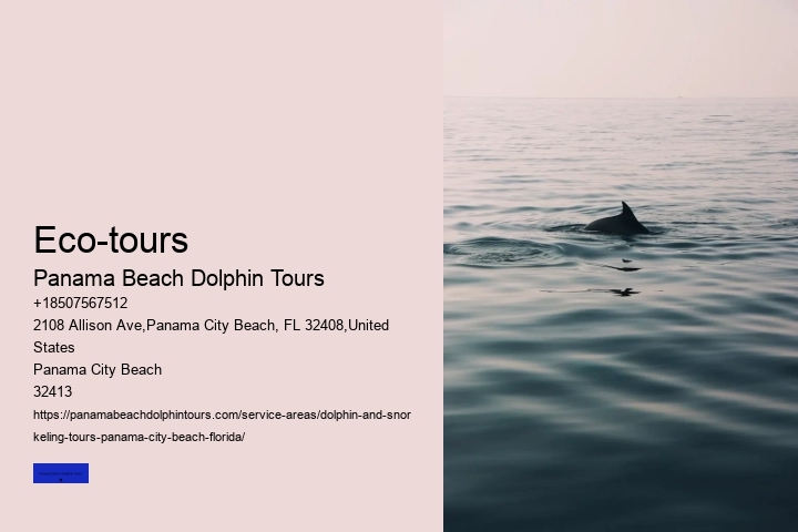 Why Do Dolphins Come Close To Shore In The Morning