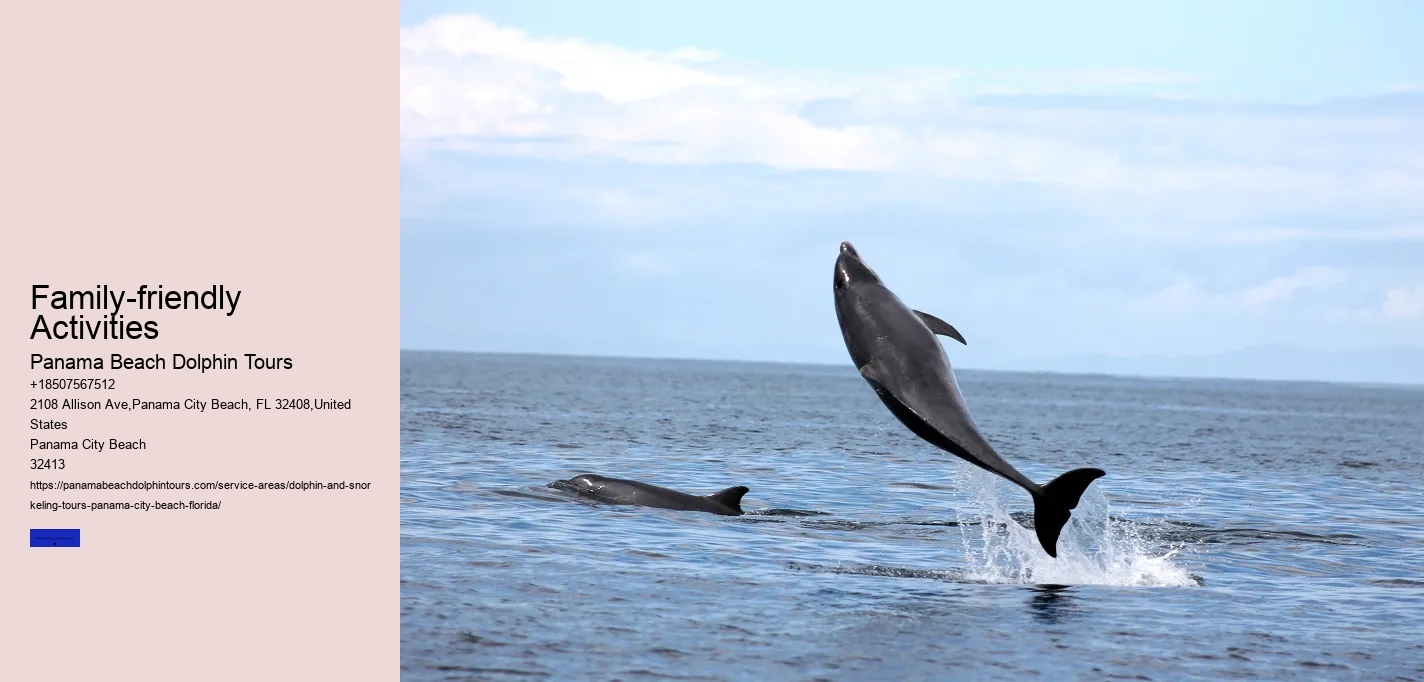Private Dolphin Cruise Panama City Beach