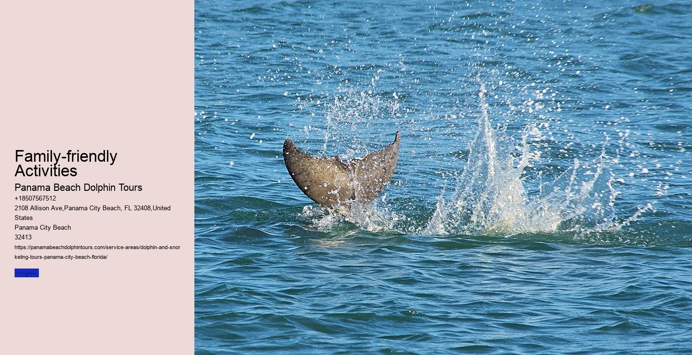 Dolphin Swim Panama City Beach