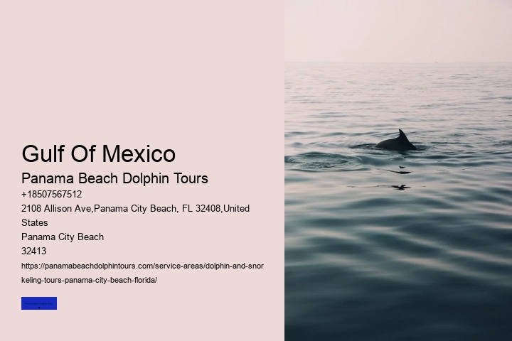 The Risks Of Swimming With Dolphins In The Wild
