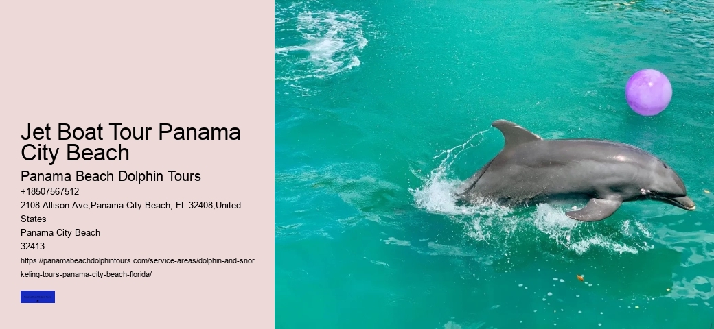 Panama City Beach Speed Boat Tour