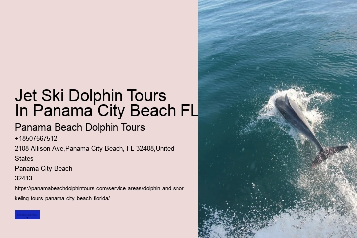 Dolphin Tours In Panama City Beach Florida