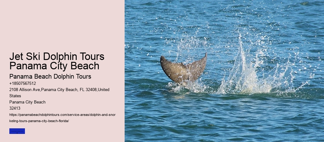 How Deep Is The Water When Swimming With Dolphins