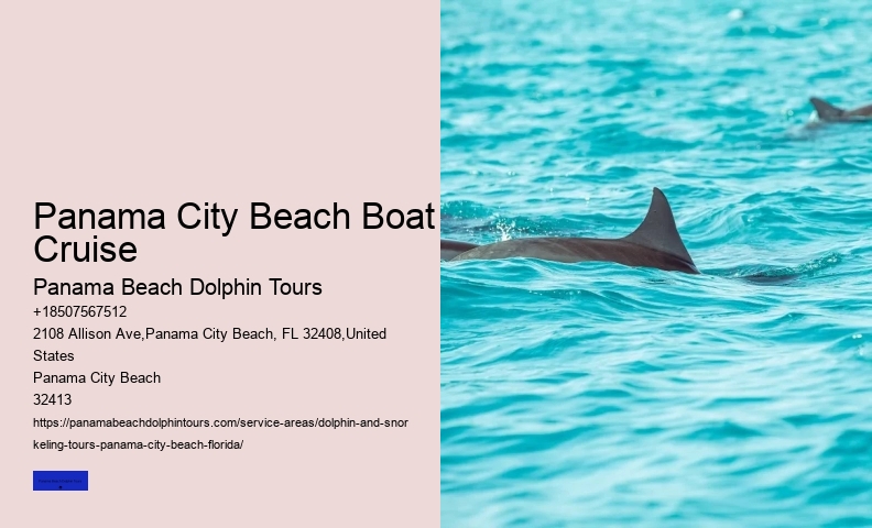 Swimming With Dolphin Tours Panama City Beach