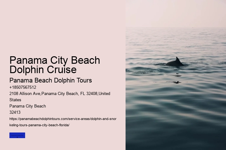 Dolphin Boat Tours Panama City Beach