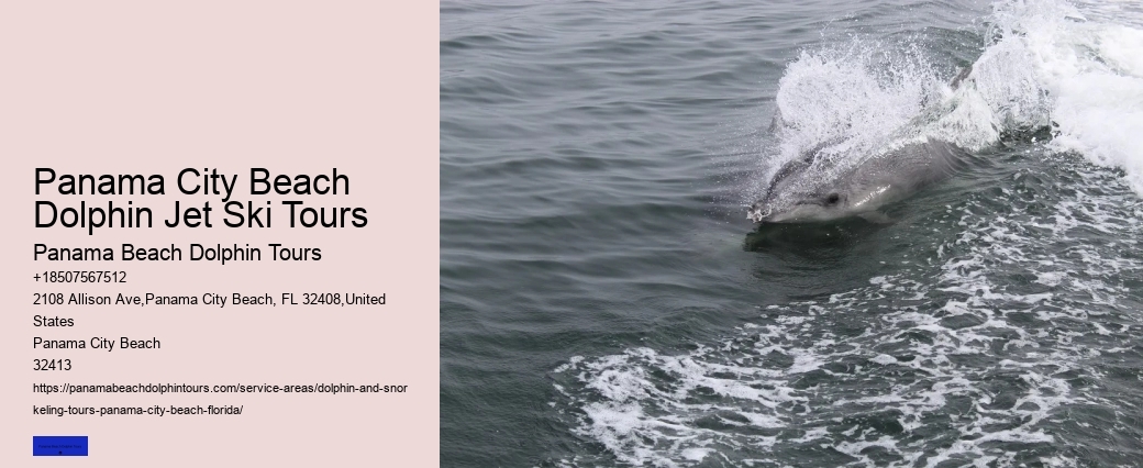 Private Dolphin Tours Panama City Beach