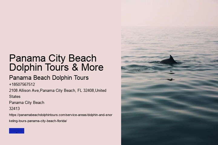 Cheap Pontoon Boat Rentals Panama City Beach