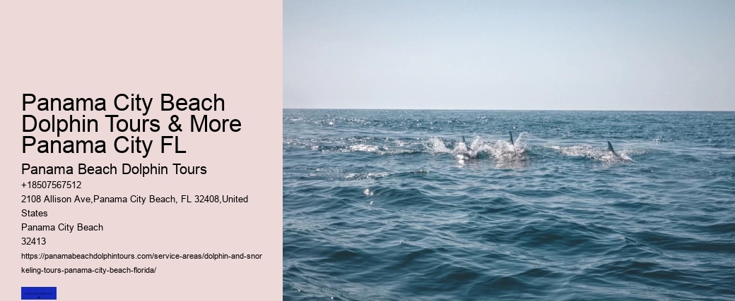 Do Dolphins Swim Humans To Shore