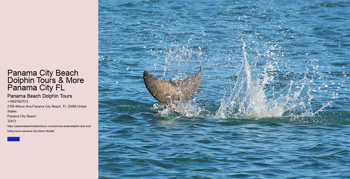 What Time Of Day Are Whales And Dolphins Most Active