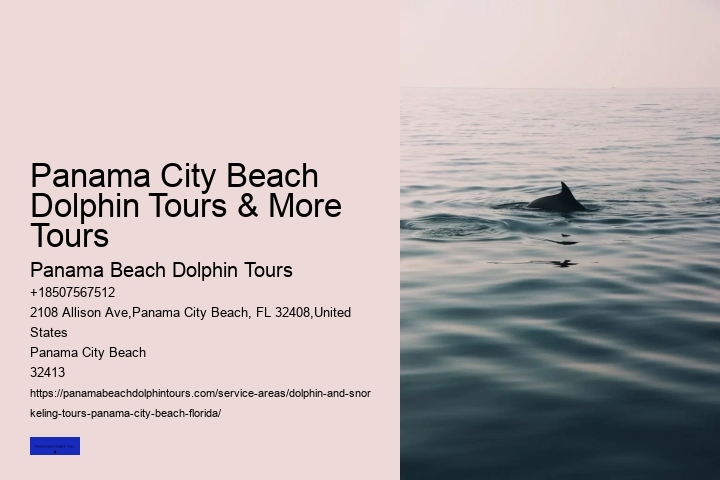 Best Sunset Dolphin Cruise Panama City Beach