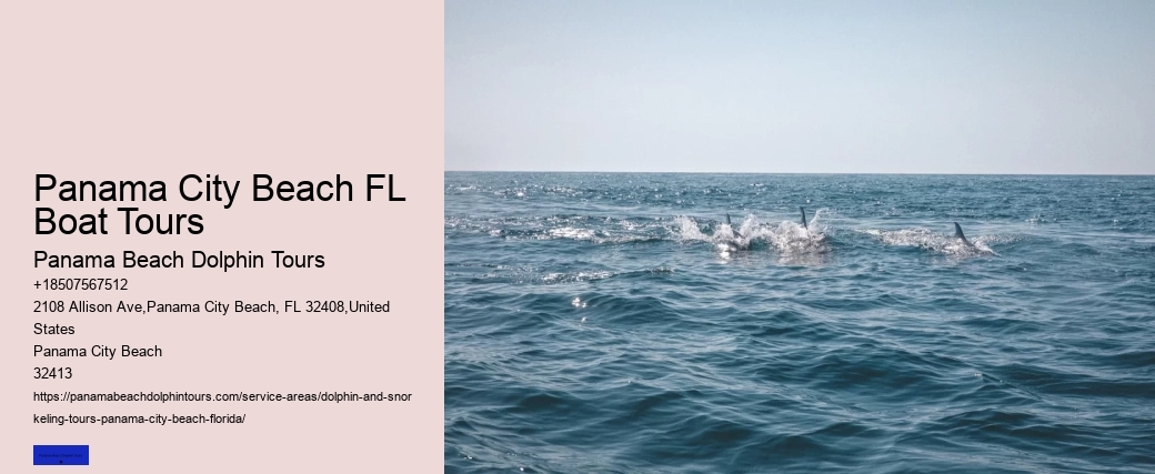 Dolphin Swim Tours