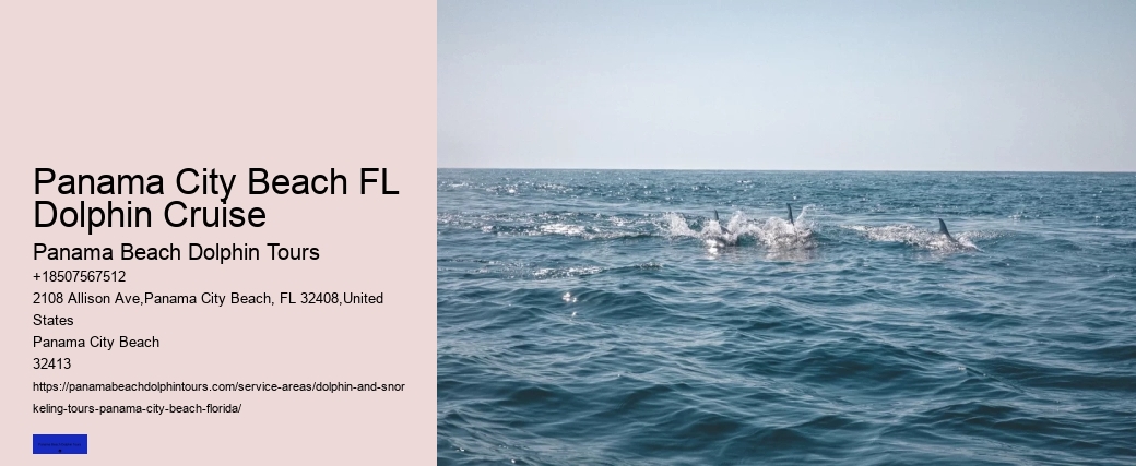 Can You Swim With The Dolphins In Panama CityFlorida