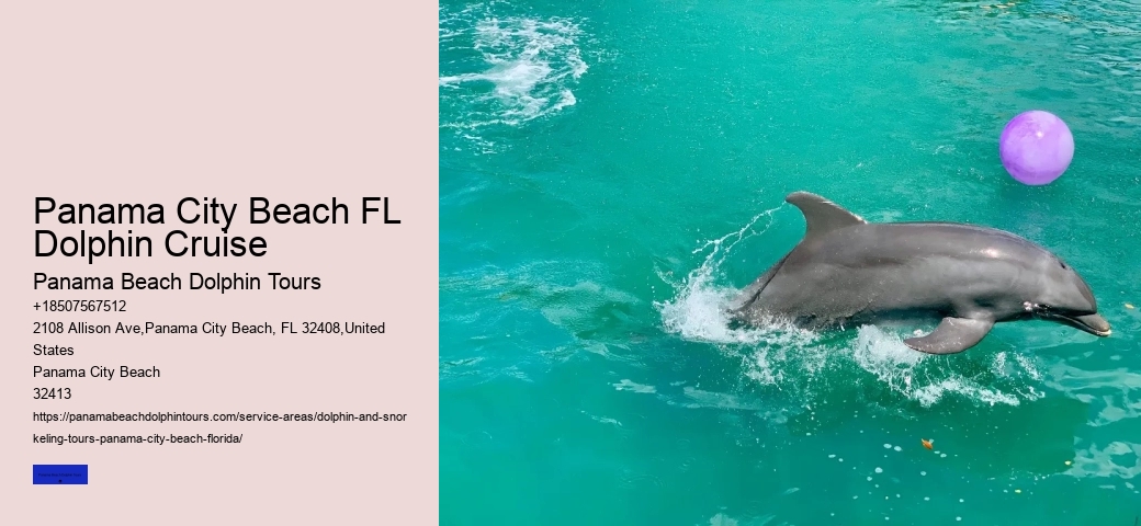 Dolphin Sightseeing Tour Panama City Beach