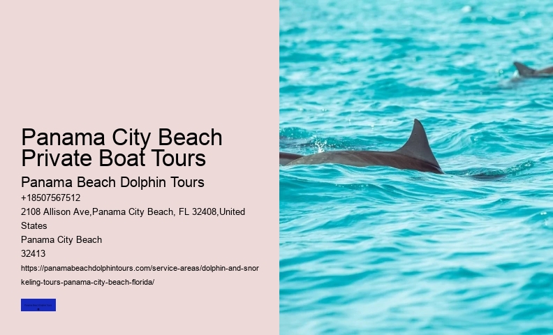 Dolphin Cruise Panama City Beach FL