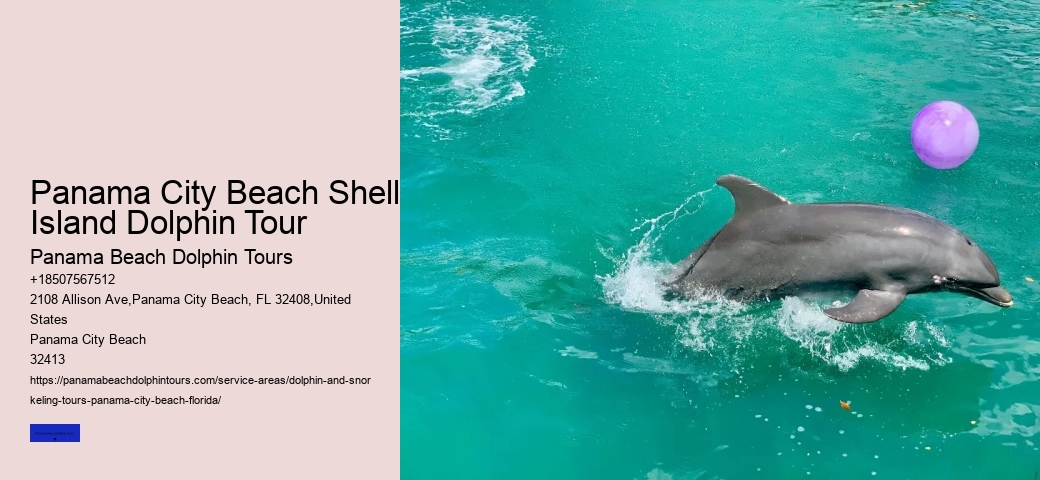 Dolphin Tours Panama City Beach FL