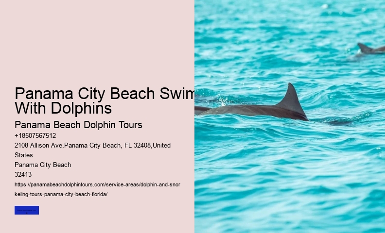 How To Spot Dolphins From Shore Or At Sea