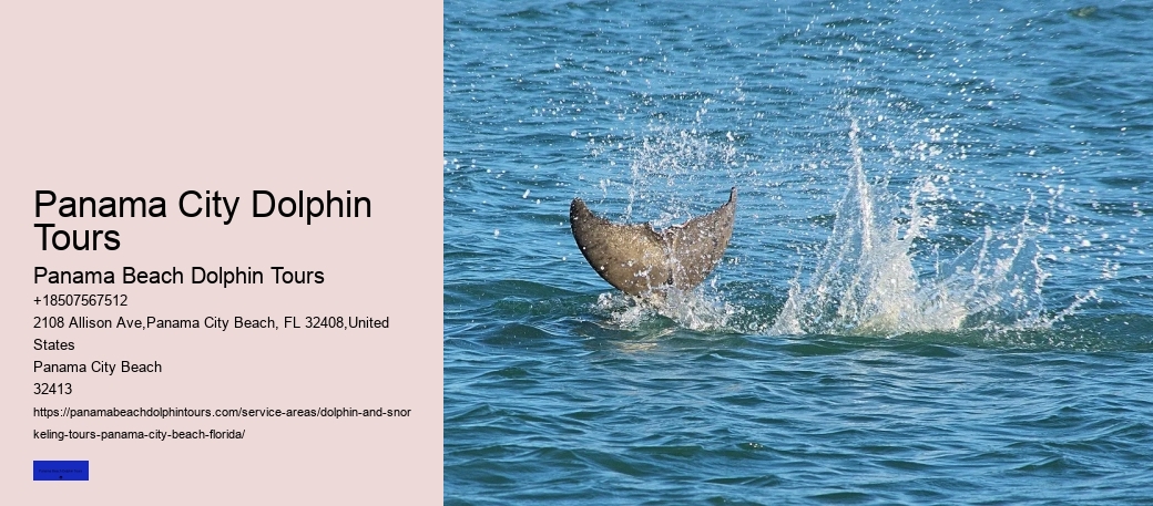 Why Should You Not Push A Beached Dolphin Back Into The Water