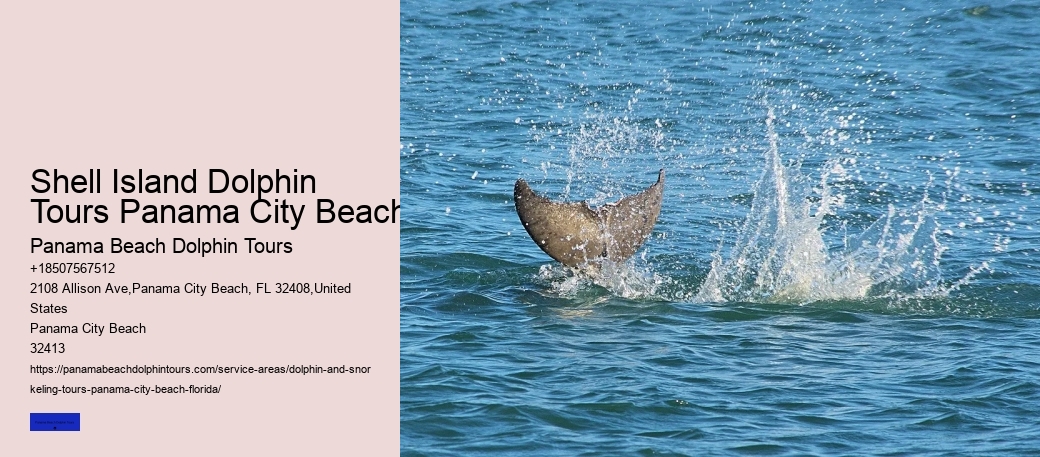 Dolphin Trips Panama City Beach