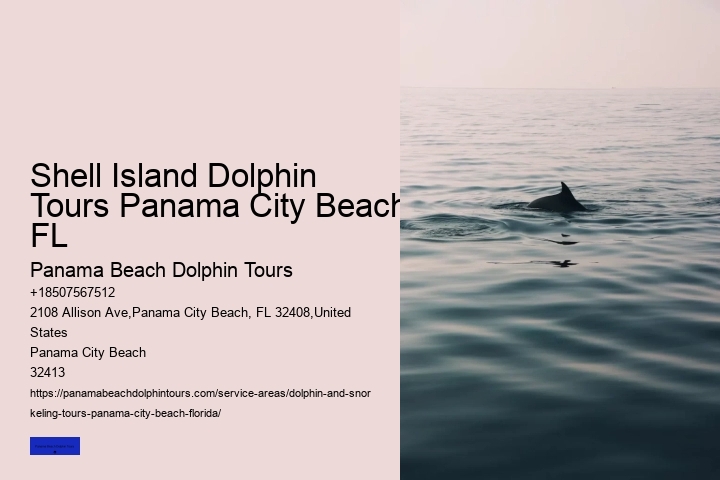 Dolphin Swim In Panama City Beach FL