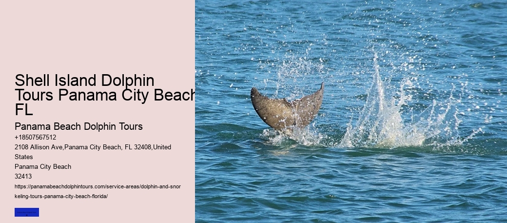 Shell Island Dolphin Tours Panama City Beach