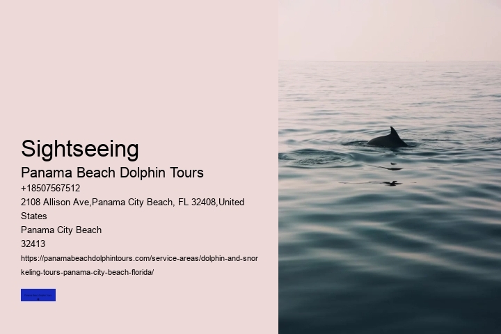 Dolphin And Snorkel Tours Panama City Beach