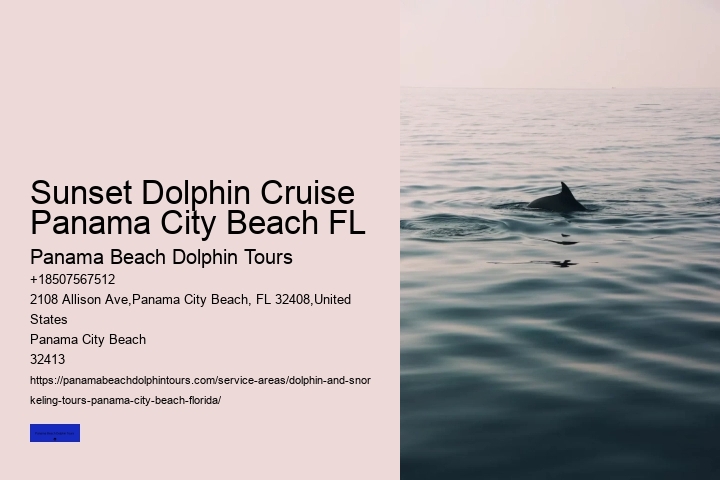 Sea Screamer Dolphin Cruises Panama City Beach FL