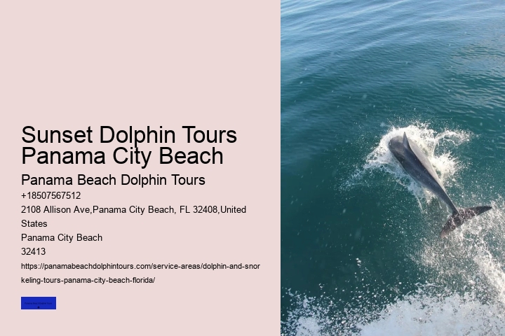 The Magic Of Dolphin Watching