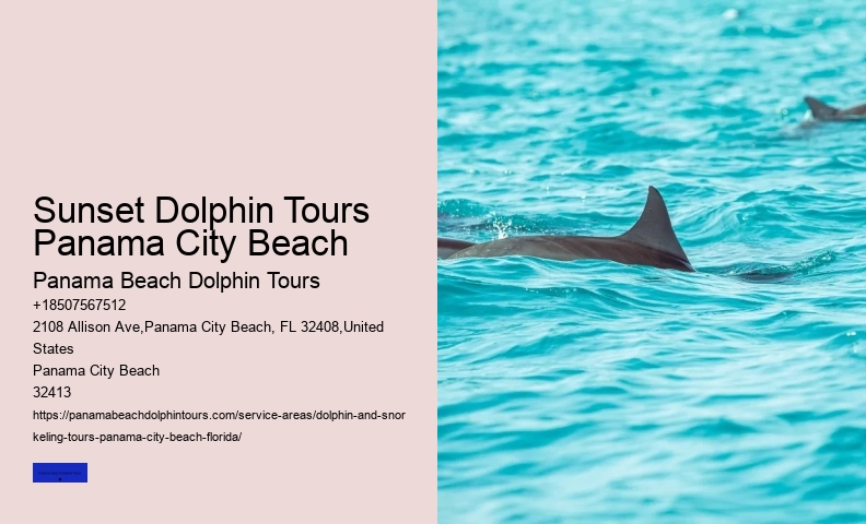 Private Boat Tours Panama City Beach