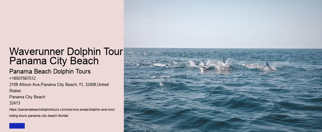 The Best Places In The World To See Wild Dolphins