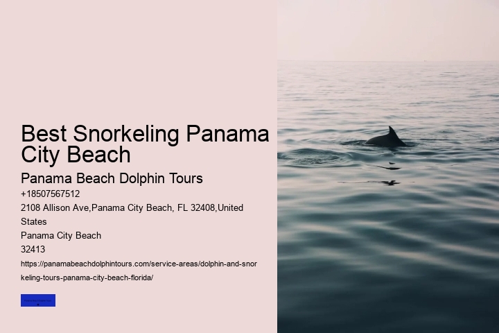 Best Snorkeling Panama City Beach