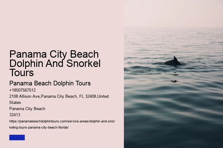 Panama City Beach Dolphin And Snorkel Tours