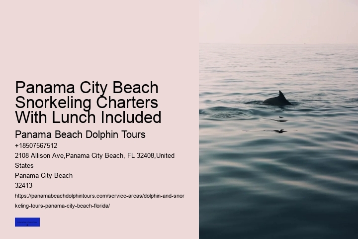 Panama City Beach Snorkeling Charters With Lunch Included