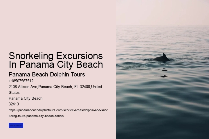 Snorkeling Excursions In Panama City Beach