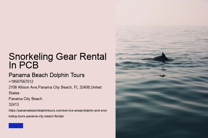 Snorkeling Gear Rental In PCB