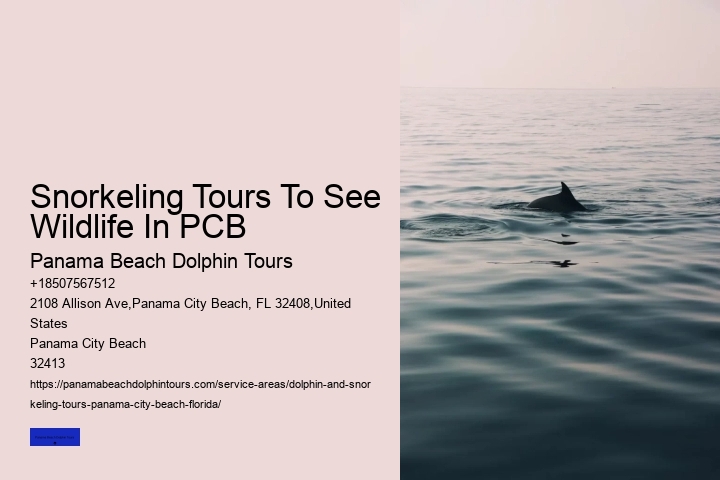 Snorkeling Tours To See Wildlife In PCB