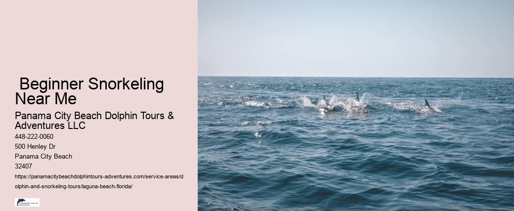 Snorkeling Boat Tour Near Me