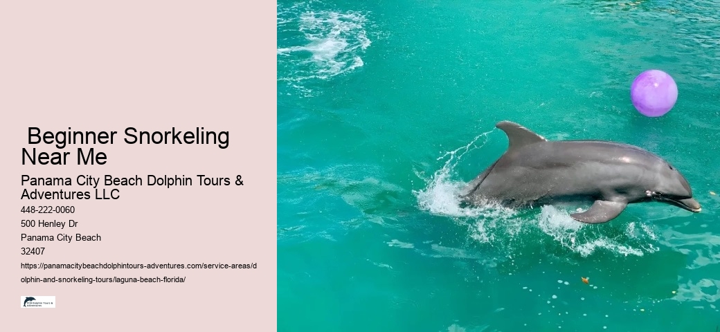  Beginner Snorkeling Near Me
