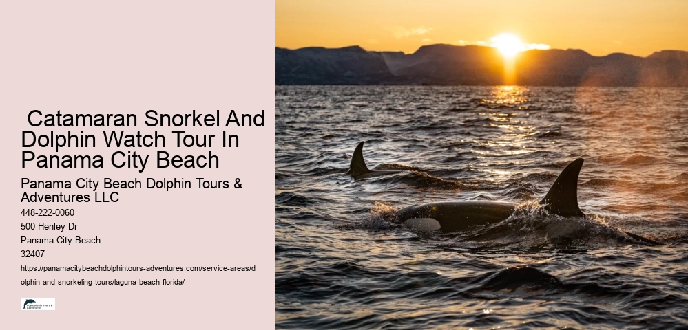 What is the most common dolphin in Florida