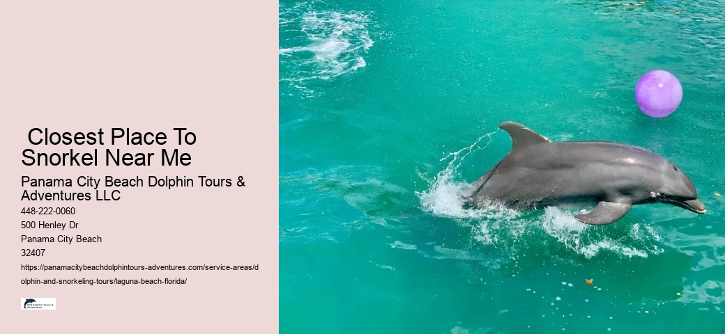 Dolphin Snorkeling Panama City Beach