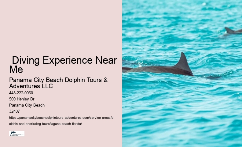 Scuba Diving Excursions Near Me