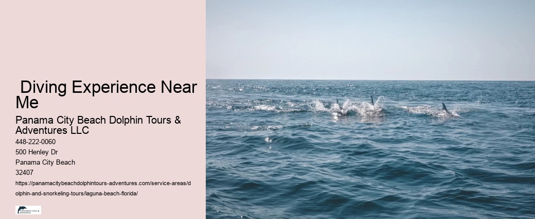 Island Boat Tours Near Me